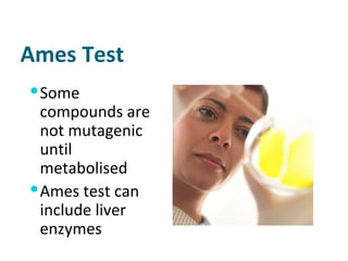Ames Test Some compounds are not mutagenic until metabolised Ames test can include liver enzymes 