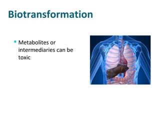 Biotransformation Metabolites or intermediaries can be toxic 