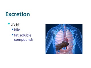 Excretion Liver bile fat soluble compounds 