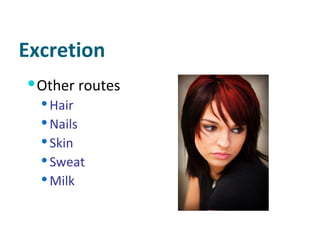 Excretion Other routes Hair Nails Skin Sweat Milk 