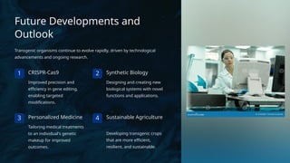 Future Developments and
Outlook
Transgenic organisms continue to evolve rapidly, driven by technological
advancements and ongoing research.
1 CRISPR-Cas9
Improved precision and
efficiency in gene editing,
enabling targeted
modifications.
2 Synthetic Biology
Designing and creating new
biological systems with novel
functions and applications.
3 Personalized Medicine
Tailoring medical treatments
to an individual's genetic
makeup for improved
outcomes.
4 Sustainable Agriculture
Developing transgenic crops
that are more efficient,
resilient, and sustainable.
 