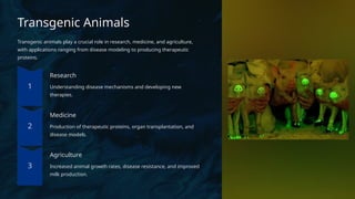 Transgenic Animals
Transgenic animals play a crucial role in research, medicine, and agriculture,
with applications ranging from disease modeling to producing therapeutic
proteins.
Research
Understanding disease mechanisms and developing new
therapies.
Medicine
Production of therapeutic proteins, organ transplantation, and
disease models.
Agriculture
Increased animal growth rates, disease resistance, and improved
milk production.
 
