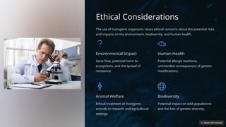Ethical Considerations
The use of transgenic organisms raises ethical concerns about the potential risks
and impacts on the environment, biodiversity, and human health.
Environmental Impact
Gene flow, potential harm to
ecosystems, and the spread of
resistance.
Human Health
Potential allergic reactions,
unintended consequences of genetic
modifications.
Animal Welfare
Ethical treatment of transgenic
animals in research and agricultural
settings.
Biodiversity
Potential impact on wild populations
and the loss of genetic diversity.
 
