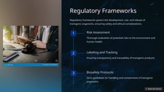 Regulatory Frameworks
Regulatory frameworks govern the development, use, and release of
transgenic organisms, ensuring safety and ethical considerations.
1 Risk Assessment
Thorough evaluation of potential risks to the environment and
human health.
2 Labeling and Tracking
Ensuring transparency and traceability of transgenic products.
3 Biosafety Protocols
Strict guidelines for handling and containment of transgenic
organisms.
 
