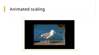 Animated scaling
 