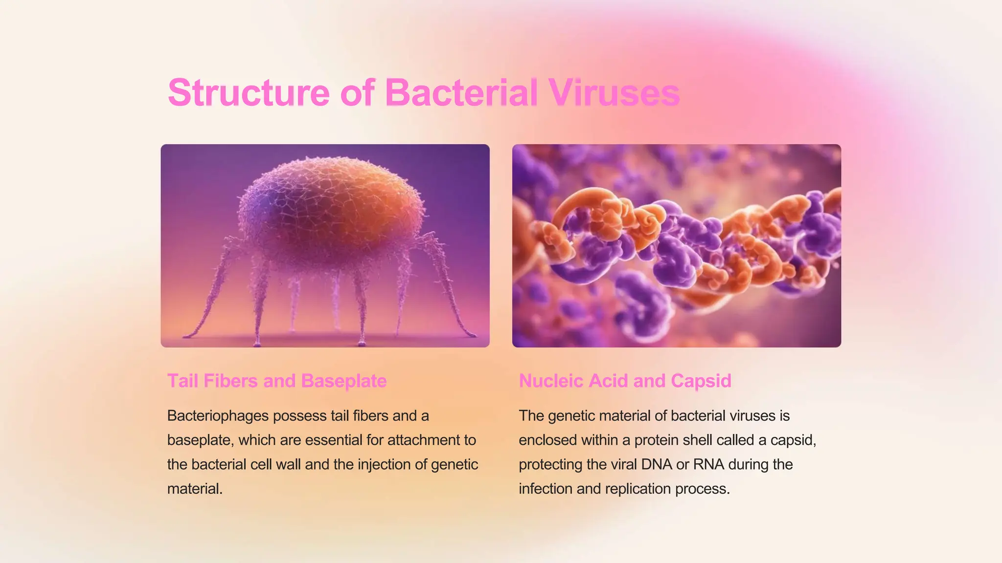Introduction To Viruses Classification And Structure PPTX