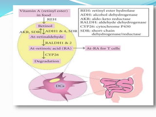 Introduction to-vitamins Slide 15