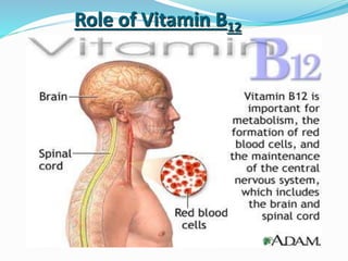 Introduction to-vitamins Slide 65