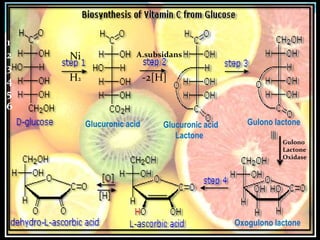Introduction to-vitamins Slide 73