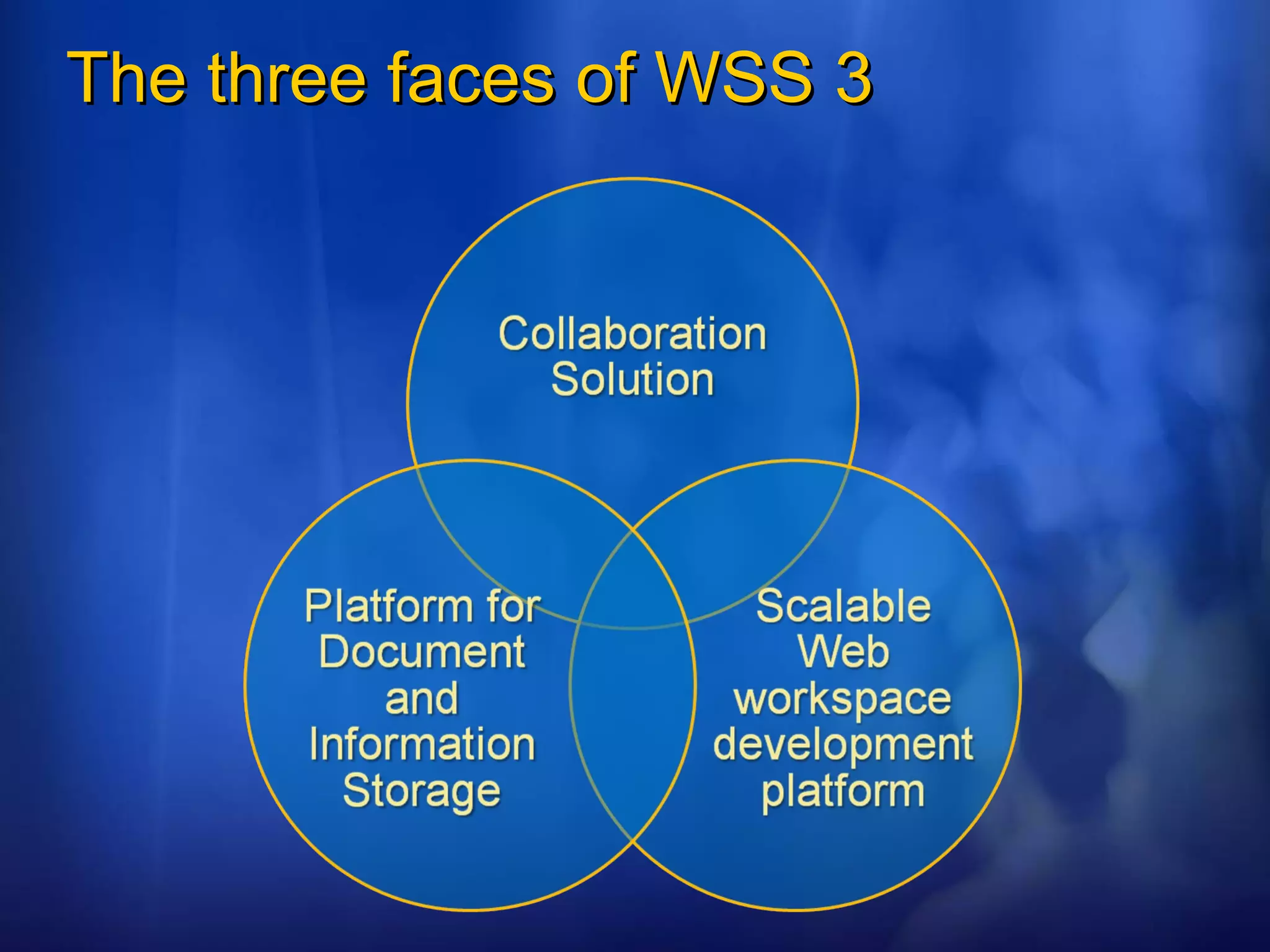 The three faces of WSS 3 