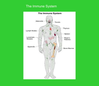 The Immune System
 