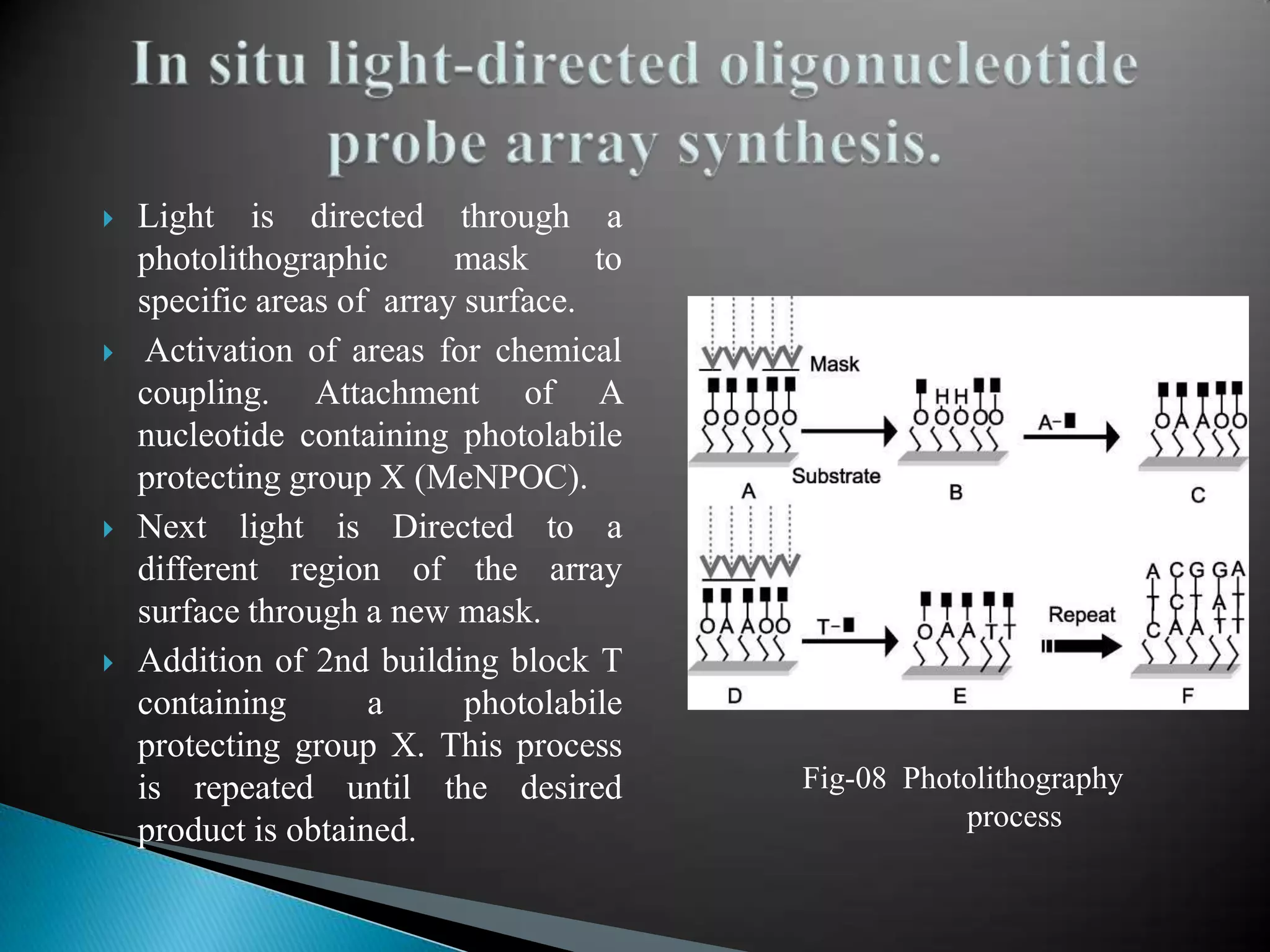







Light is directed through a
photolithographic
mask
to
specific areas of array surface.
Activation of areas for chemical
coupling. Attachment of A
nucleotide containing photolabile
protecting group X (MeNPOC).
Next light is Directed to a
different region of the array
surface through a new mask.
Addition of 2nd building block T
containing
a
photolabile
protecting group X. This process
is repeated until the desired
product is obtained.

Fig-08 Photolithography
process

 