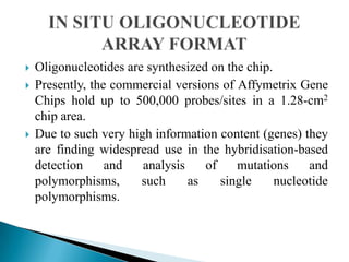 




Oligonucleotides are synthesized on the chip.
Presently, the commercial versions of Affymetrix Gene
Chips hold up to 500,000 probes/sites in a 1.28-cm2
chip area.
Due to such very high information content (genes) they
are finding widespread use in the hybridisation-based
detection
and
analysis
of
mutations
and
polymorphisms,
such
as
single
nucleotide
polymorphisms.

 