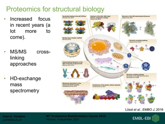 Introduction to the Proteomics Bioinformatics Course 2016