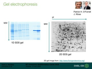 Introduction to the Proteomics Bioinformatics Course 2018 | PDF