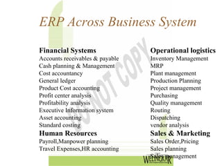 Introduction to ERP (Enterprise Resource Planning) | PDF