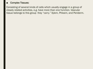 ■ Complex Tissues:
Consisting of several kinds of cells which usually engage in a group of
closely related activities, e.g. have more than one function. Vascular
tissue belongs to this group they “carry.” Xylem, Phloem, and Periderm.
 