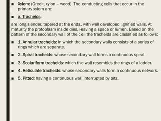 ■ Xylem: (Greek, xylon – wood). The conducting cells that occur in the
primary xylem are:
■ a. Tracheids:
are long slender, tapered at the ends, with well developed lignified walls. At
maturity the protoplasm inside dies, leaving a space or lumen. Based on the
pattern of the secondary wall of the cell the tracheids are classified as follows:
■ 1. Annular tracheids: in which the secondary walls consists of a series of
rings which are separate.
■ 2. Spiral tracheids: whose secondary wall forms a continuous spiral.
■ 3. Scalariform tracheids: which the wall resembles the rings of a ladder.
■ 4. Reticulate tracheids: whose secondary walls form a continuous network.
■ 5. Pitted: having a continuous wall interrupted by pits.
 