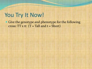 You Try It Now!
 Give the genotype and phenotype for the following
cross: TT x tt (T = Tall and t = Short)
 