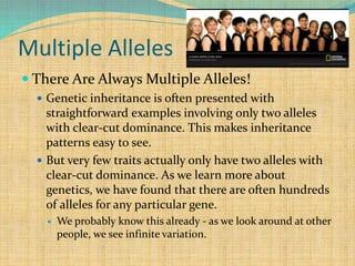 Multiple Alleles
 There Are Always Multiple Alleles!
 Genetic inheritance is often presented with
straightforward examples involving only two alleles
with clear-cut dominance. This makes inheritance
patterns easy to see.
 But very few traits actually only have two alleles with
clear-cut dominance. As we learn more about
genetics, we have found that there are often hundreds
of alleles for any particular gene.
 We probably know this already - as we look around at other
people, we see infinite variation.
 
