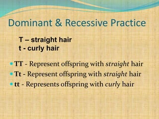 Dominant & Recessive Practice
 TT - Represent offspring with straight hair
 Tt - Represent offspring with straight hair
 tt - Represents offspring with curly hair
T – straight hair
t - curly hair
 