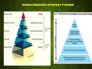 HUMAN RESOURCE STRATEGY PYRAMID
 