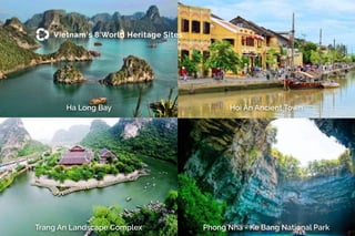 Vietnam's 8 World Heritage Sites
Trang An Landscape Complex
Ha Long Bay Hoi An Ancient Town
Phong Nha - Ke Bang National Park
 