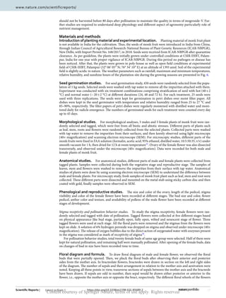 10
Vol:.(1234567890)
Scientific Reports | (2021) 11:6205 | https://doi.org/10.1038/s41598-021-85689-2
www.nature.com/scientificreports/
should not be harvested before 80 days after pollination to maintain the quality in terms of mogroside-V. Fur-
ther studies are required to understand deep physiology and different aspect of agronomy particularly role of
nutrient management.
Materials and methods
Introduction of planting material and experimental location.  Planting material of monk fruit plant
is not available in India for the cultivation. Thus, the seeds of monk fruit were introduced in India from China,
through Indian Council of Agricultural Research-National Bureau of Plant Genetic Resources (ICAR-NBPGR),
New Delhi, with Import Permit No. 168/2017, in 2018. Seeds were received from ICAR-NBPGR after quarantine
clearance. As per guideline, the plants were initially grown under controlled conditions at CSIR-IHBT, Palam-
pur, India for one year with proper vigilance of ICAR-NBPGR. During this period no pathogen or disease has
been noticed. After that, the plants were grown in poly-house as well as open field conditions at experimental
field of CSIR-IHBT, Palampur (32° 06′ 05″ N; 76° 34′ 10″ E) at an altitude of 1393 amsl. Soil of the experimental
field is slightly acidic in nature. The weather parameters such as rainfall, maximum and minimum temperatures,
relative humidity, and sunshine hours of the plantation site during the growing seasons are presented in Fig. 6.
Seed germination studies.  For seed germination study, 450 seeds were randomly selected from the popu-
lation of 1 kg seeds. Selected seeds were washed with tap water to remove all the impurities attached with them.
Experiment was conducted with six treatment combinations comprising stratification of seed with hot (40 ± 2
°C) and normal water (~ 20 ± 2 °C) at different durations (24, 48 and 72 h). For each treatment, 25 seeds were
used with three replications. The seeds were kept for germination in petri dishes over moist filter paper. All
dishes were kept in the seed germinator with temperature and relative humidity ranged from 25 to 27 °C and
85–90%, respectively. The filter papers of petri dishes were regularly moistened with distilled water and moni-
tored daily for radicle emergence. The numbers of germinated seeds for each treatment were counted every day
up to 45 days.
Morphological studies.  For morphological analyses, 5 males and 5 female plants of monk fruit were ran-
domly selected and tagged, which were free from all biotic and abiotic stresses. Different parts of plants such
as leaf, stem, roots and flowers were randomly collected from the selected plants. Collected parts were washed
with tap water to remove the impurities from their surfaces, and then keenly observed using light microscope
(40× magnification) and scanning electron microscope (SEM). For microscopic studies, different parts of the
monk fruits were fixed in FAA solution (formalin, acetic acid, 95% ethanol, distilled water, 10:5:50:35, v/v) under
smooth vacuum for 1 h, then dried for 12 h at room ­temperature55
. Ovary of the female flower was also dissected
transversely, and observed under the microscope (40× magnification). Data were recorded for both male and
female plants of monk fruit.
Anatomical studies.  For anatomical studies, different parts of male and female plants were collected from
tagged plants. Samples were collected during both the vegetative stage and reproductive stage. The samples of
leaves, stem and flowers were washed to remove the impurities from their surface with tap water. Anatomical
studies of plants were done by using scanning electron microscope (SEM) to understand the difference between
male and female plants. For microscopy study, fresh samples of monk fruit plant such as leaf, stem and root were
collected. These different parts were dissected and mounted on the metal stub using sticky carbon disc and then
coated with gold, finally samples were observed in SEM.
Phenological and reproductive studies.  The size and color of the ovary, length of the pedicel, stigma
visibility and color of the female flower have been recorded at different stages. The bud size and color, flower
pedicel, anther color and texture, and availability of pollens of the male flower have been recorded at different
stages of development.
Stigma receptivity and pollination behavior studies.  To study the stigma receptivity, female flowers were ran-
domly selected and tagged with date of pollination. Tagged flowers were collected at five different stages based
on physical appearance like bud stage, partially open, fully open, wilted and senescent stage of flower. Three
tagged flowers were used at each stage. All the floral parts were removed and the stigmas from the flowers were
kept on slide. A solution of 6% hydrogen peroxide was dropped on stigma and observed under microscope (40×
magnification). The release of oxygen bubbles due to the direct action of oxygenated water with enzymes present
in the stigma was considered as mark of receptivity of ­
stigma56
.
For pollination behavior studies, total twenty female buds of same age group were selected. Half of them were
kept for natural pollination, and remaining half were manually pollinated. After opening of the female buds, data
on changes of bud in size have been recorded time to time.
Floral diagram and formula.  To draw floral diagram of male and female flower, we observed the floral
buds that were partially opened. Then, we pluck the floral buds after observing their anterior and posterior
sides from the mother axis. In bracteolate flowers, bracteoles were drawn in section on the left and right sides
of the diagram. The number of sepals and their arrangement in relation to the mother axis and aestivation were
noted. Keeping all these points in view, transverse sections of sepals between the mother axis and the bracteole
have been drawn. If sepals are odd in number, then sepal would be drawn either posterior or anterior to the
flower, i.e., opposite the mother axis or opposite the bract, respectively. The different floral whorls of the flowers
Content courtesy of Springer Nature, terms of use apply. Rights reserved
 