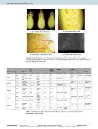 7
Vol.:(0123456789)
Scientific Reports | (2021) 11:6205 | https://doi.org/10.1038/s41598-021-85689-2
www.nature.com/scientificreports/
Figure 4.  
Vertically dissected view of monk fruit ovary (a); closed view of dissected ovary showing the
arrangement of ovules (b); microscopic view of T.S. of ovary showing axile placentation (40x magnification) (c)
and SEM view of T.S. of ovary (d).
Table 2.  Developmental stages of male and female flowers of Siraitia grosvenorii based on major
morphological characteristics.
Developmental
stage Plant type
Physical
appearance
Bud Flower
pedicel
(length in
mm)
Stigma Anther
Pollen
condition
Petal
condition Color Size (mm) Visibility Color Color Texture
Stage I
Male
Small green
bud
Close
Reddish
green
1–4 1–5 – –
Bright yel-
low
Smooth Not available
Female
Small green
bud
Close
Reddish
green
1–5 1–2 Not visible – – – –
Stage II
Male
Partially
open flower
Opening
Reddish
green
3–6 3–15 – –
Bright yel-
low
Light dusty
Some adhere
to petals
Female
Partially
open flower
Opening
Reddish
green
7–9 1–5
Stigma lobes
can visible
Yellow – – –
Stage III
Male
Fully open
flower
Open
Reddish
green
9–16 10–15 – –
Bright yel-
low
Dusty
Available and
extensively
attached
Female
Fully open
flower
Open
Reddish
green
10–15 4–9 Fully visible Yellow – – –
Stage IV
Male Wilted flower Closing
Reddish
green to
brown
9–12 10–15 – – Light yellow Little dusty
Few pollen
are left
Female Wilted flower Closing
Reddish
brown
7–9 4–7 Fully visible Yellow – – –
Stage V
Male
Senescent
flower
Close
Reddish
green to
brown
9–10 10–15 – – Light yellow Smooth
Very few pol-
len are left
Female
Senescent
flower
Close Brown 4–6 4–6 Fully visible
Blackish
yellow
– – –
Content courtesy of Springer Nature, terms of use apply. Rights reserved
 