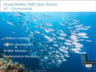 Drupal Meilleur CMS Open Source
#2 - Communauté

1	
  Million+	
  membres
30	
  000+	
  développeurs
25	
  000+	
  Modules
Représentation	
  Mondiale

19

©	
  Song	
  Heming	
  -­‐	
  

 