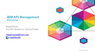 © 2015 IBM Corporation
IBM API Management
#ibmapimgt
Magali Boulet
Pan-IMT Middleware Technical Sales
magali.boulet@fr.ibm.com
magaliboulet
 