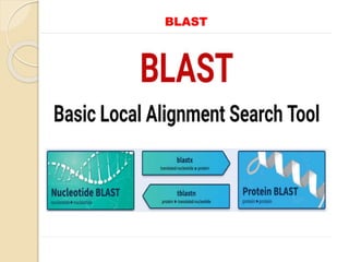 BLAST
 