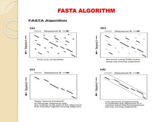 FASTA ALGORITHM
 