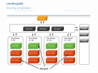 Lab MongoDB
Sharding et replication
MongoD
 