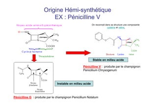 Origine Hémi-synthétique
EX : Pénicilline V
Pénicilline V : produite par le champignon
Penicillium Chrysogenum
On reconnait dans sa structure une composante
cystéine et valine.
Pénicilline G : produite par le champignon Penicillium Notatum
Stable en milieu acide
Instable en milieu acide
 