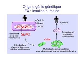 Origine génie génétique
EX : Insuline humaine
 