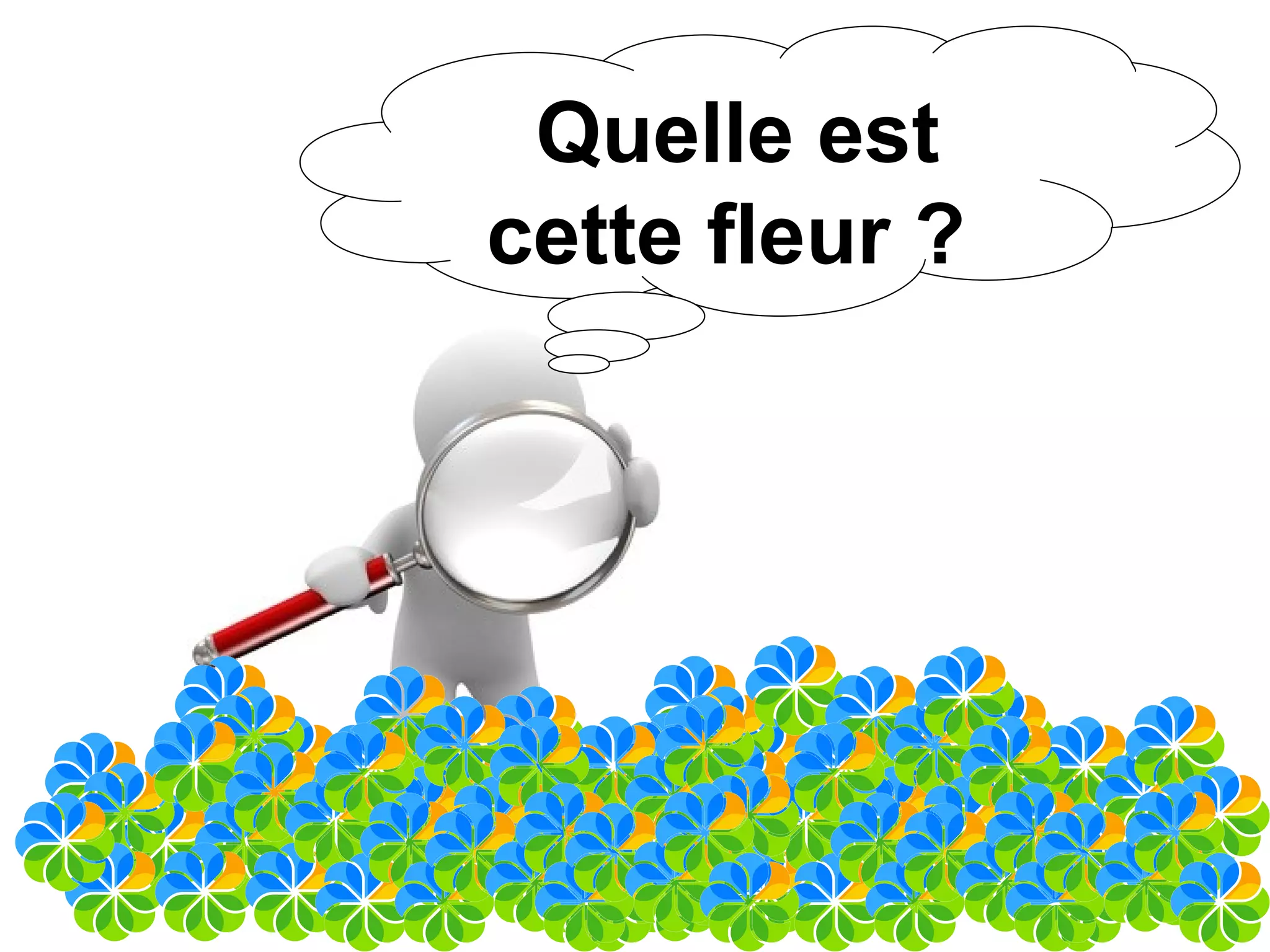 Alfresco en quelques points : Node Tutorial