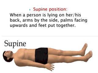  Supine position:
When a person is lying on her/his
back, arms by the side, palms facing
upwards and feet put together.
 