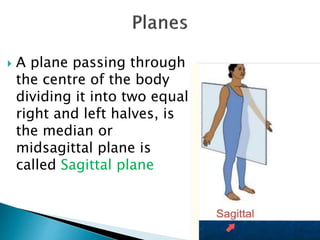  A plane passing through
the centre of the body
dividing it into two equal
right and left halves, is
the median or
midsagittal plane is
called Sagittal plane
 
