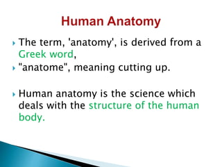  The term, 'anatomy', is derived from a
Greek word,
 "anatome", meaning cutting up.
 Human anatomy is the science which
deals with the structure of the human
body.
 
