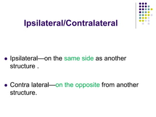 Ipsilateral/Contralateral
 Ipsilateral—on the same side as another
structure .
 Contra lateral—on the opposite from another
structure.
 