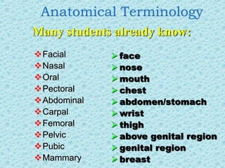 Anatomical Terminology
Facial
Nasal
Oral
Pectoral
Abdominal
Carpal
Femoral
Pelvic
Pubic
Mammary
Many students already know:
 face
 nose
 mouth
 chest
 abdomen/stomach
 wrist
 thigh
 above genital region
 genital region
 breast
 