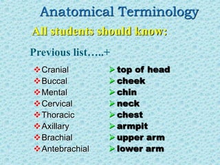 Anatomical Terminology
Cranial
Buccal
Mental
Cervical
Thoracic
Axillary
Brachial
Antebrachial
All students should know:
 top of head
 cheek
 chin
 neck
 chest
 armpit
 upper arm
 lower arm
Previous list…..+
 