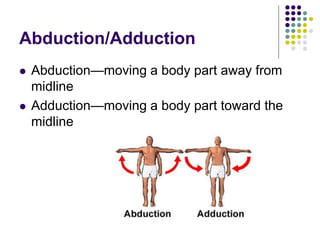 Abduction/Adduction
 Abduction—moving a body part away from
midline
 Adduction—moving a body part toward the
midline
 