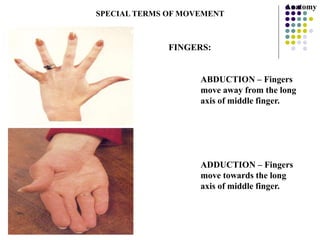 FINGERS:
ABDUCTION – Fingers
move away from the long
axis of middle finger.
ADDUCTION – Fingers
move towards the long
axis of middle finger.
SPECIAL TERMS OF MOVEMENT
Anatomy
 