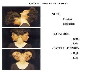 NECK:
- Flexion
- Extension
ROTATION:
- Right
- Left
- LATERAL FLEXION
- Right
- Left
SPECIAL TERMS OF MOVEMENT
 