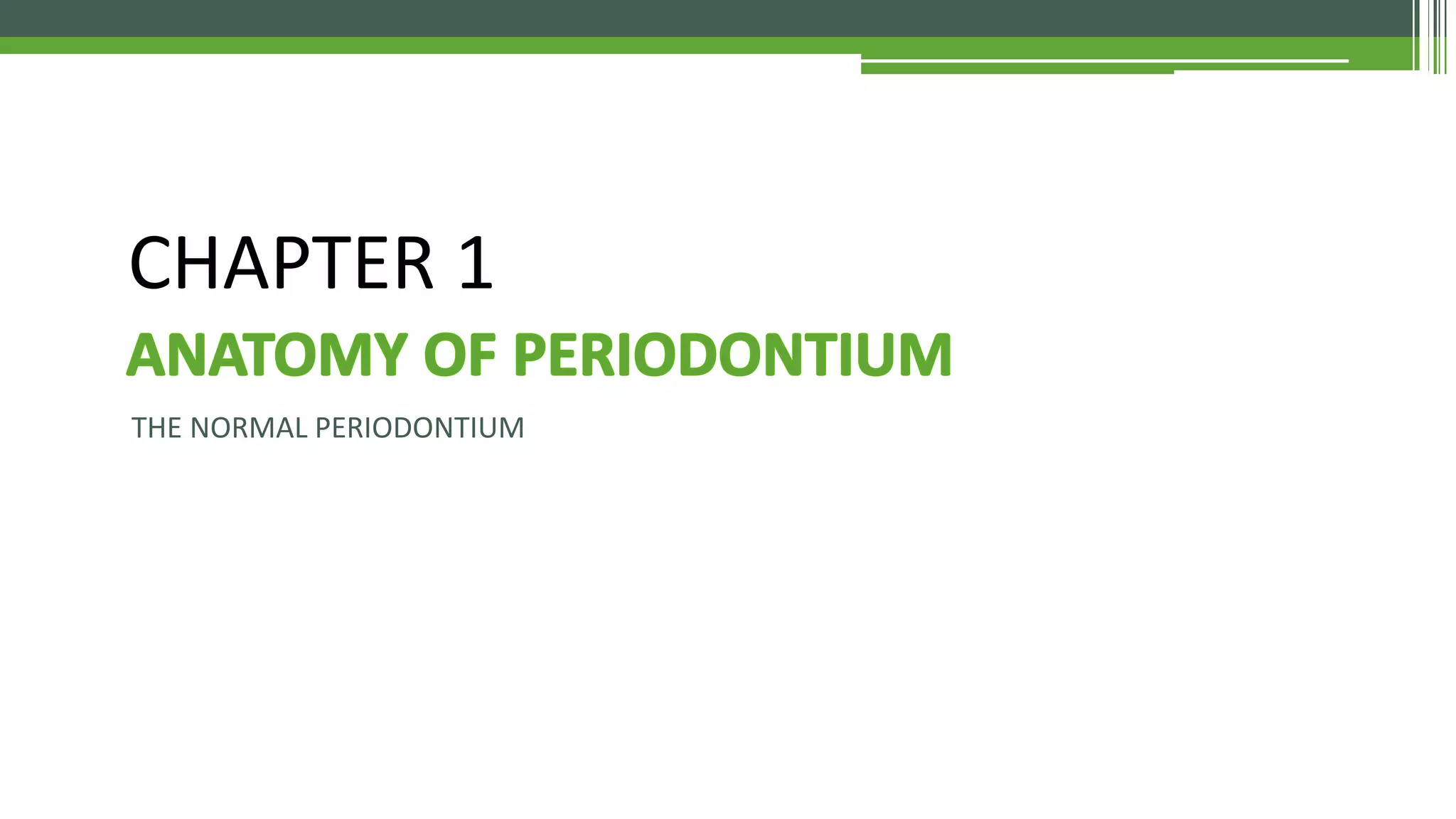 Clinical Periodontology - Introduction & Anatomy | PDF