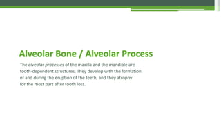 Clinical Periodontology - Introduction & Anatomy