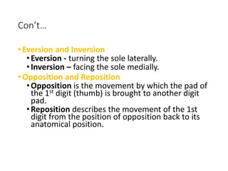Laterally Inverted 9 introduction anatomyu.pptx anatomy of nursing | PPTX