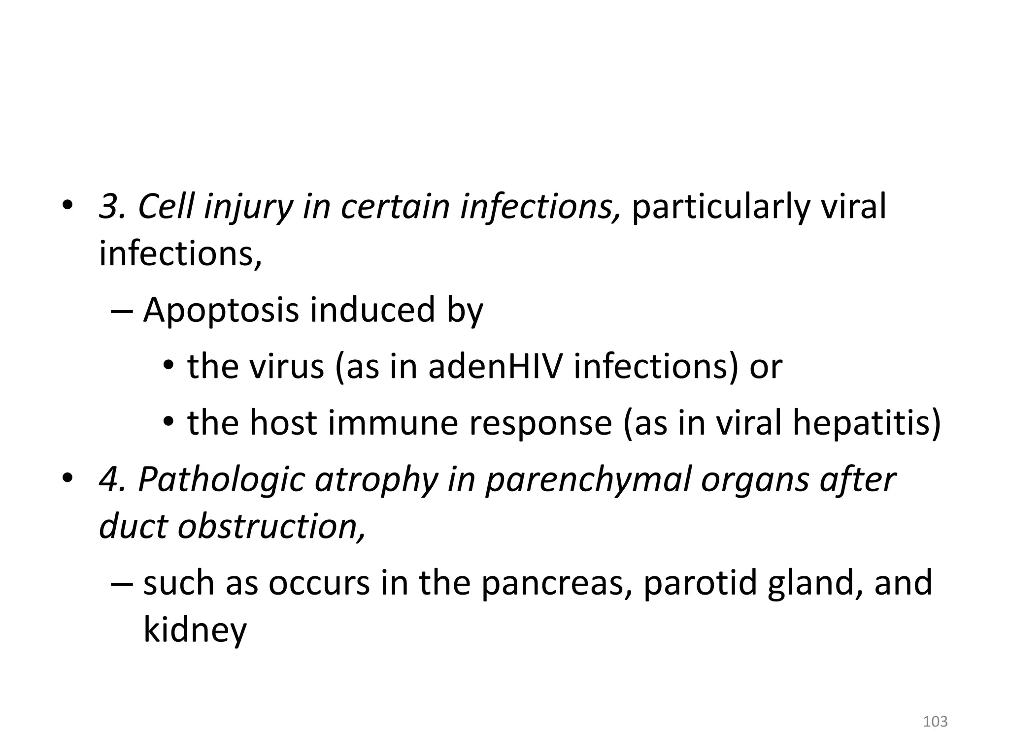 • 3. Cell injury in certain infections, particularly viral
infections,
– Apoptosis induced by
• the virus (as in adenHIV infections) or
• the host immune response (as in viral hepatitis)
• 4. Pathologic atrophy in parenchymal organs after
duct obstruction,
– such as occurs in the pancreas, parotid gland, and
kidney
103
 